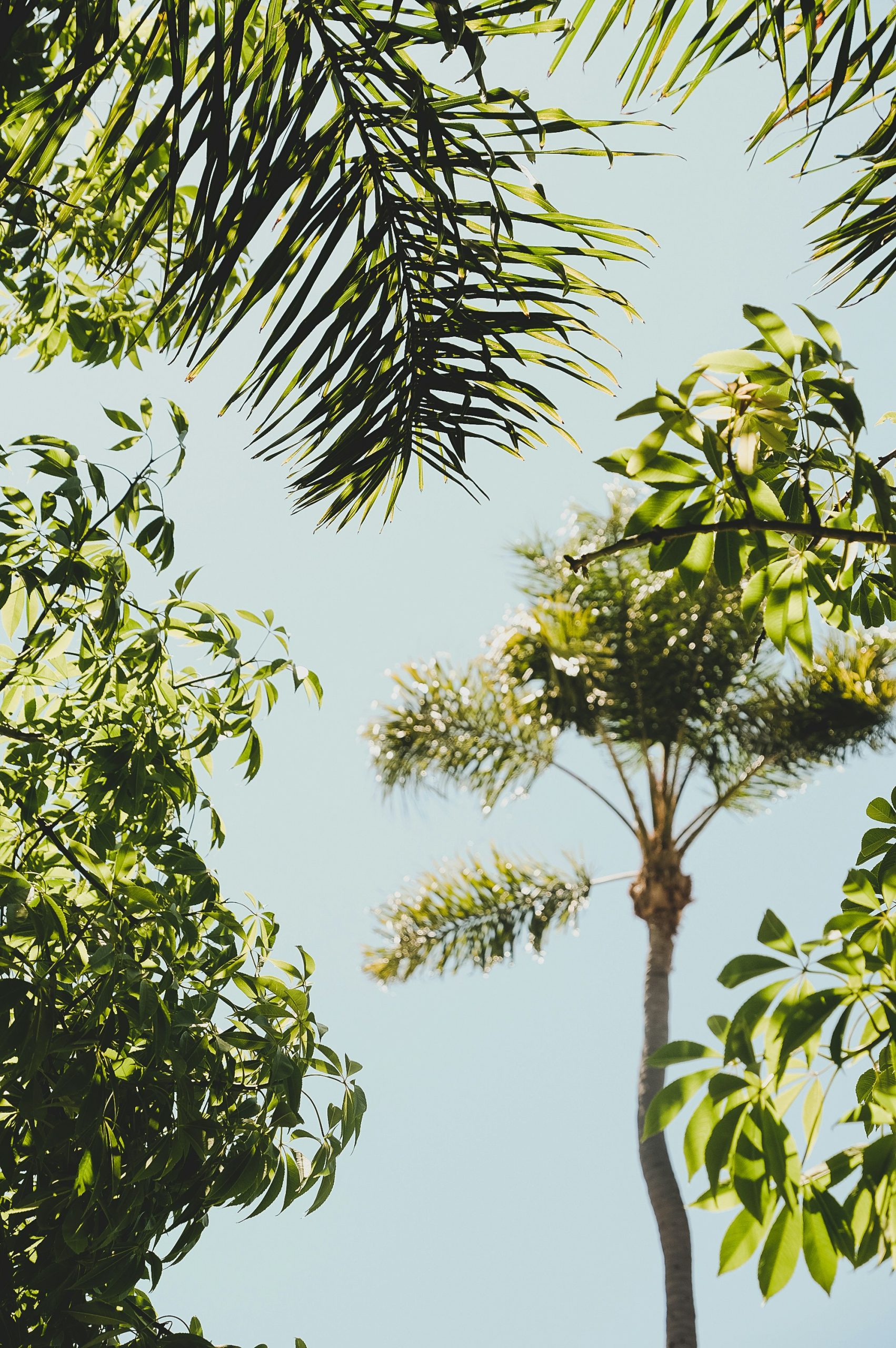 brett burton 6kg9sjaf1qs unsplash