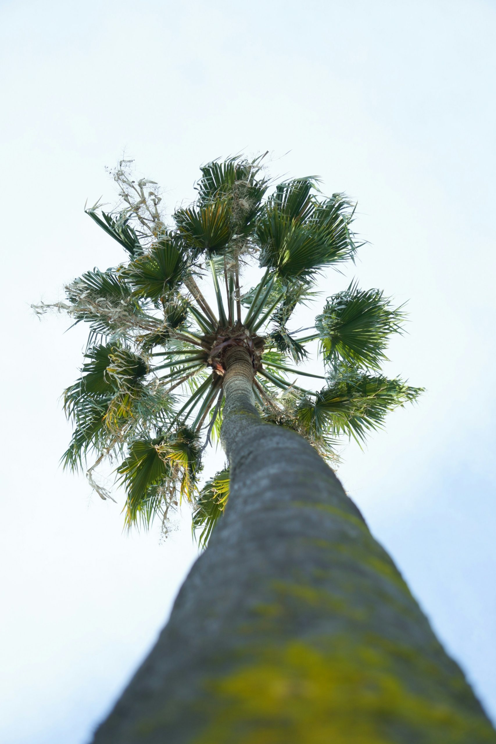 joel durkee pf4afstc2u unsplash